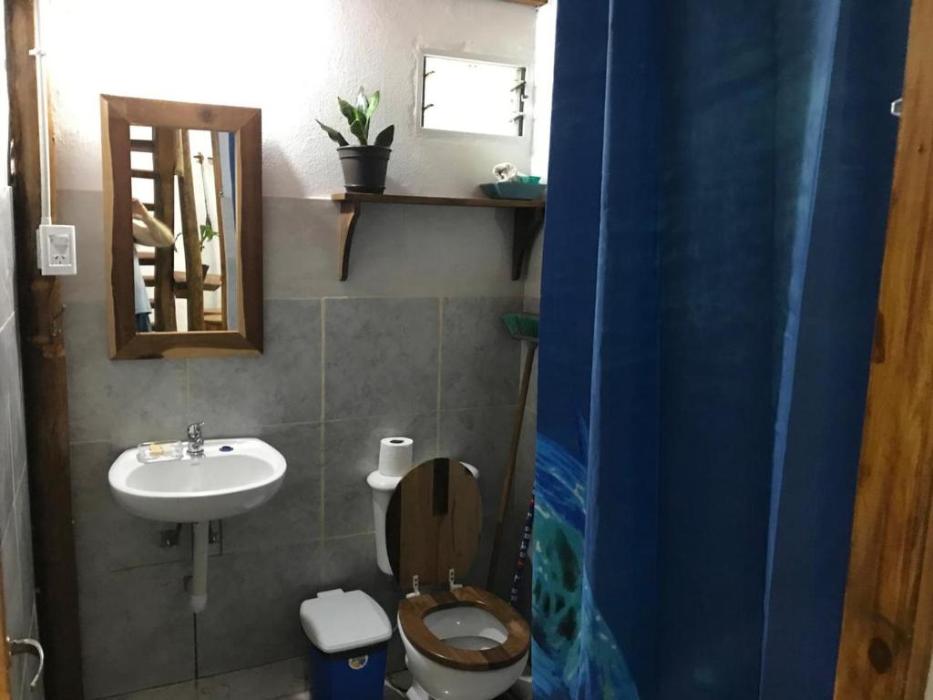 Arboleda Loft