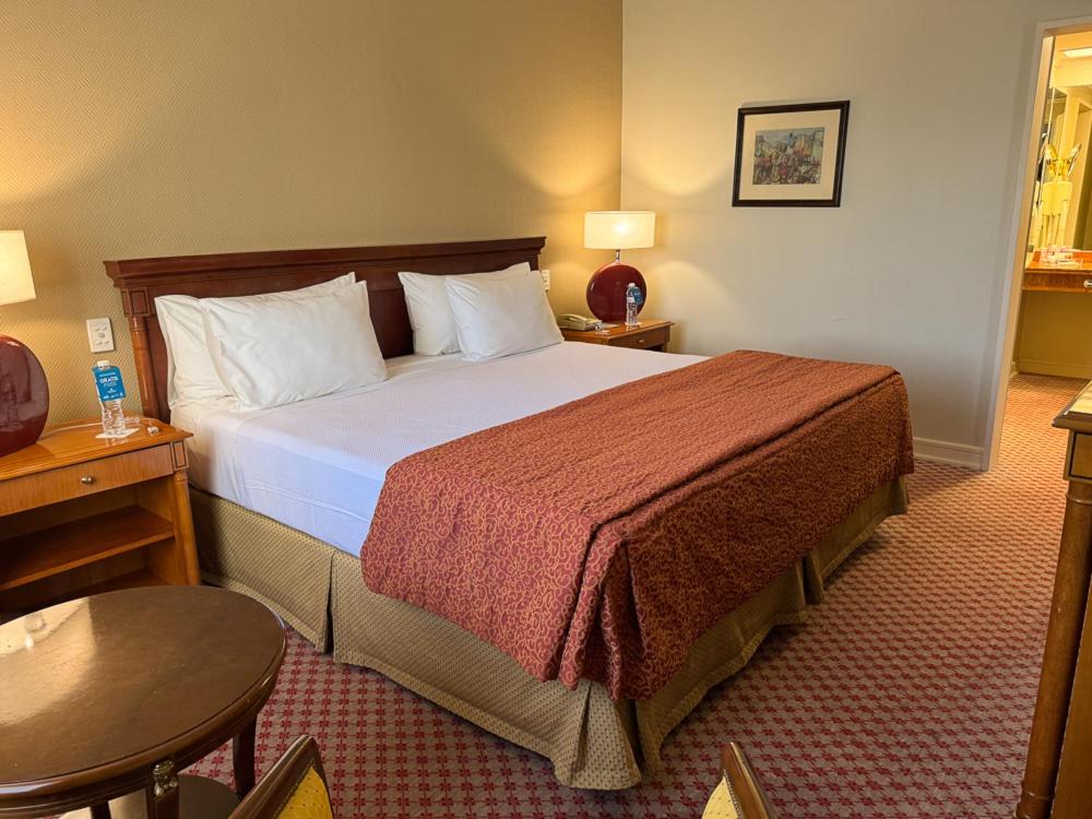 Austral Plaza Hotel