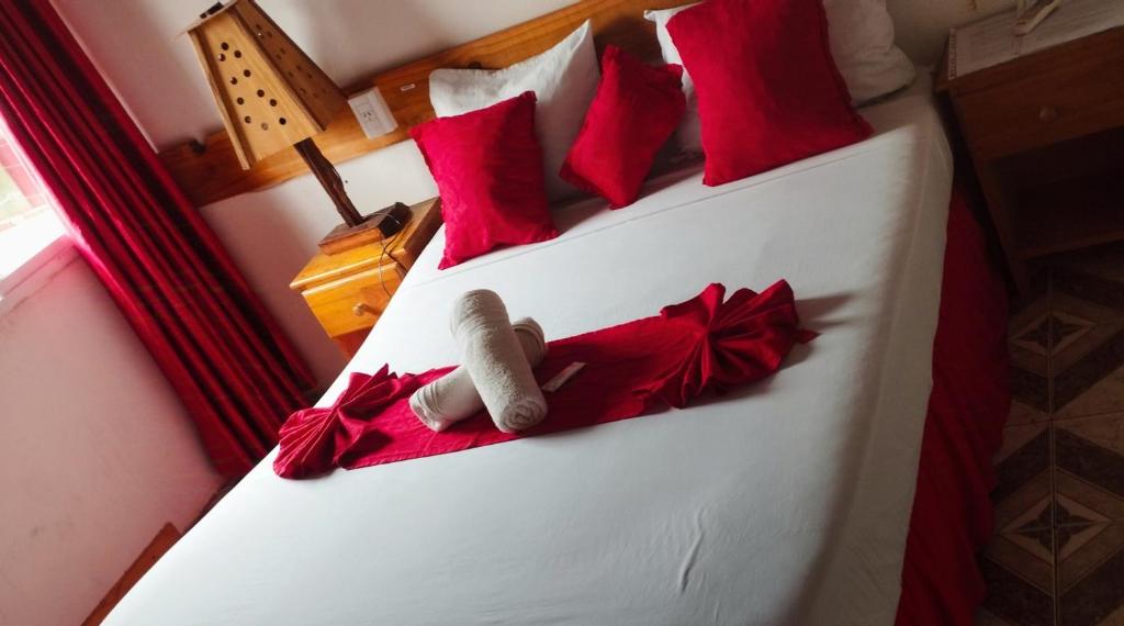Damaris Hostel