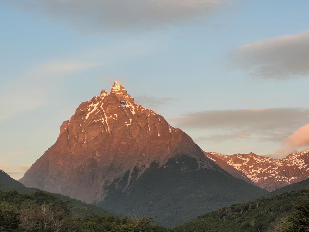 Del Olivia Departamento para cuatro Personas