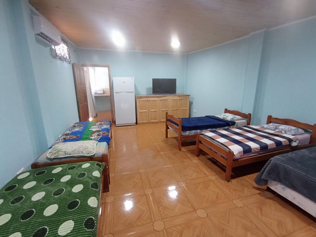 Departamento Flavia