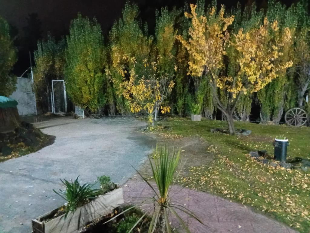 La Iguana cabaña espacio verde