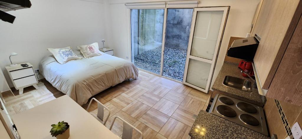 Temporales Ushuaia - Orquídea Austral