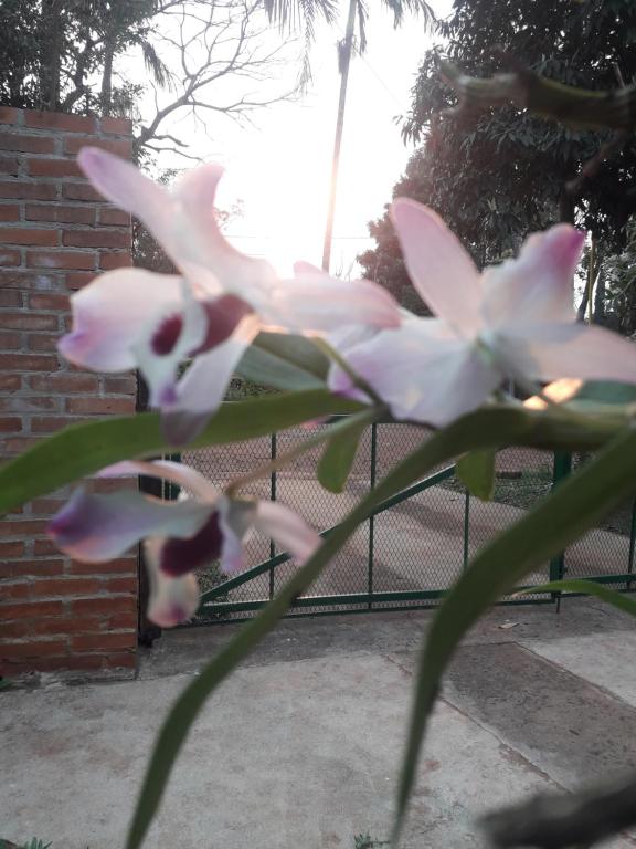 Rincón Verde