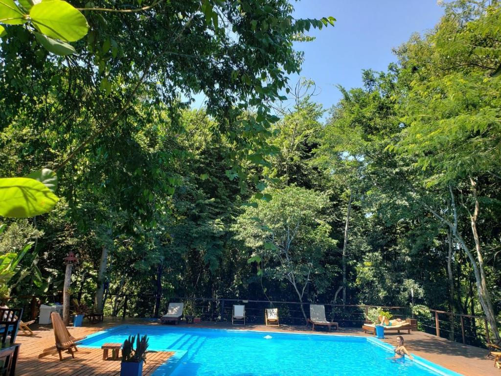Selva de Laurel