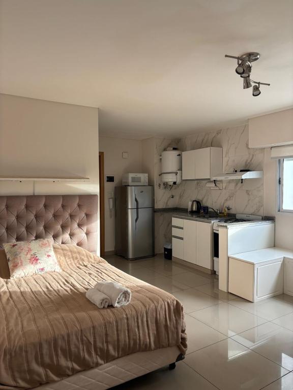 suite pellegrini - pasos del centro - zona hospitales
